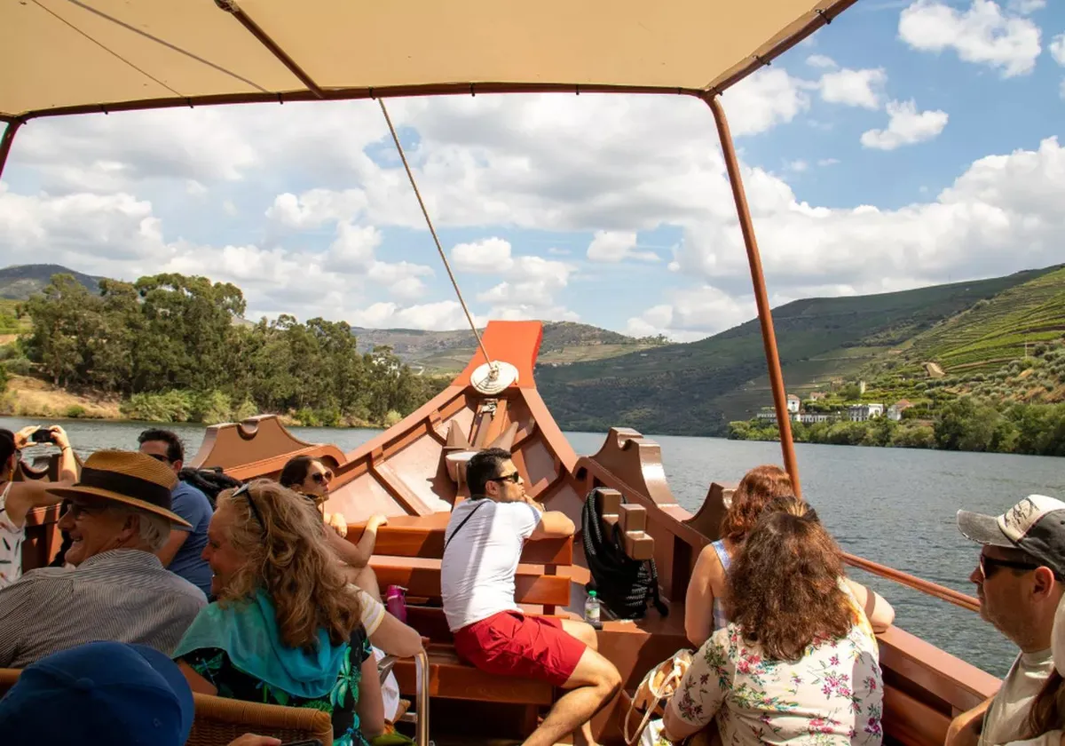 Coach group overlooking terraced Douro Valley vineyards on the Living Tours full-day wine tour with lunch, tastings and cruise from Porto